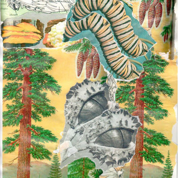 Album artwork for Sun Bleach