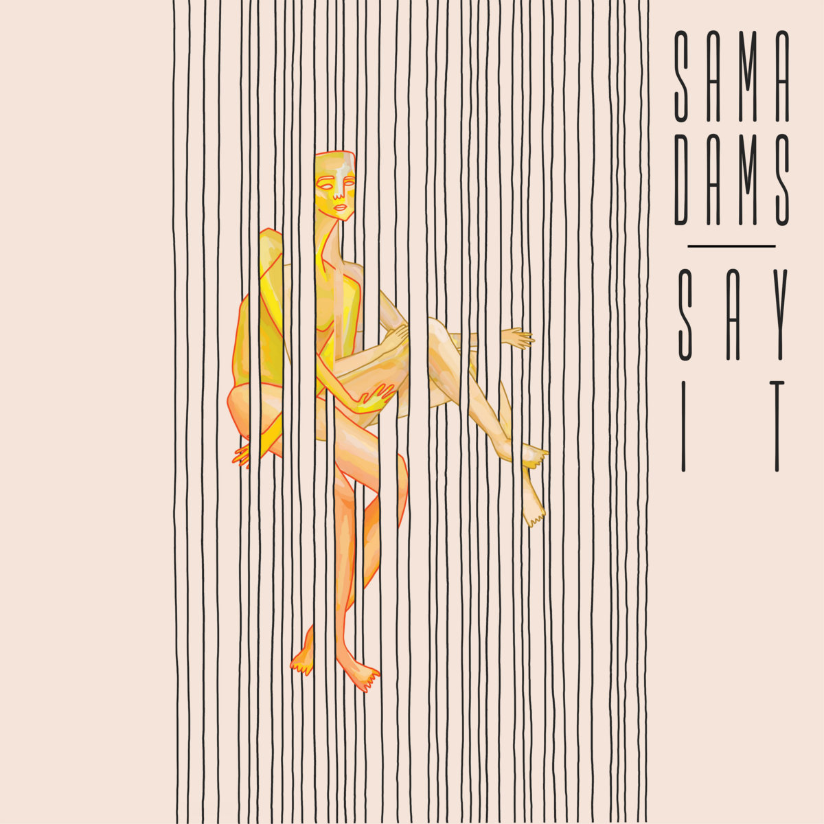 Image result for say it sama dams