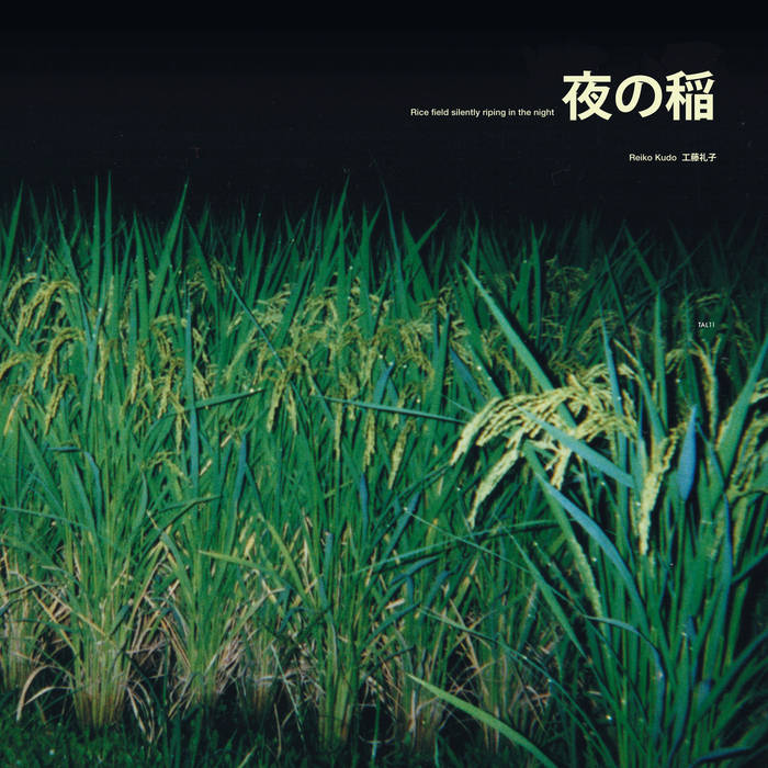 Rice Field Silently Riping In The Night | Reiko Kudo