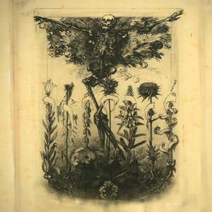 Blossom cover