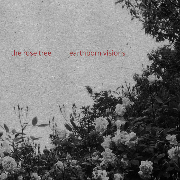 The Rose Tree Earthborn Visions Studio 4632