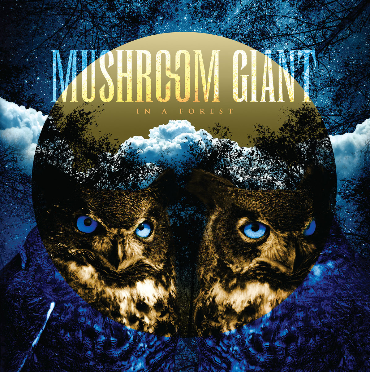 IN A FOREST (album) | MUSHROOM GIANT