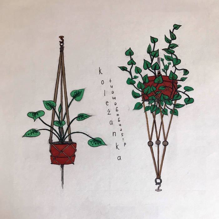 koleżanka - Disengagement