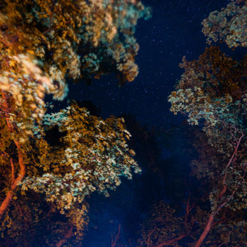 redletter / thalassophobia