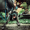 Small Batch EP Cover Art