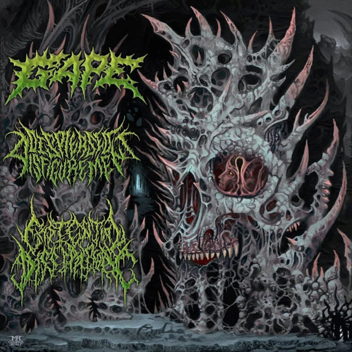Devoured,Decayed,Displayed | Gape/Displeased Disfigurement/Existential  Dissipation | Existential Dissipation