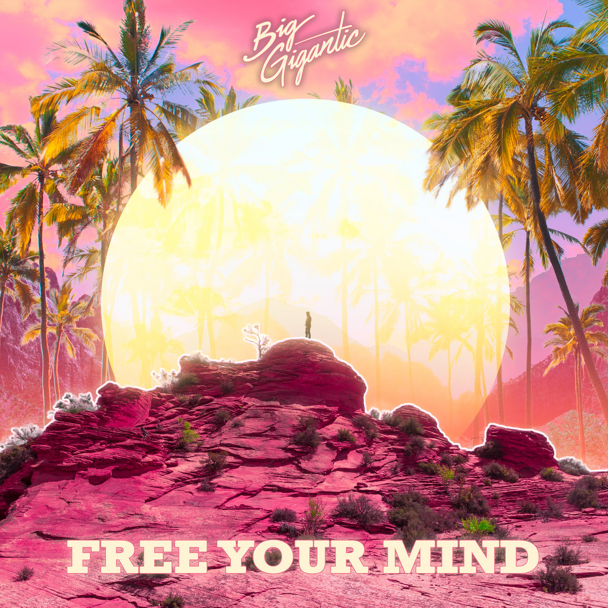 Free Your Mind | Big Gigantic
