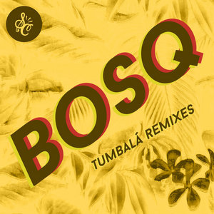 Tumbalá (Remixes) cover