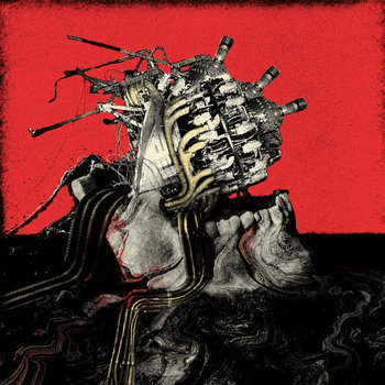 Cover of Indomitable Hostility