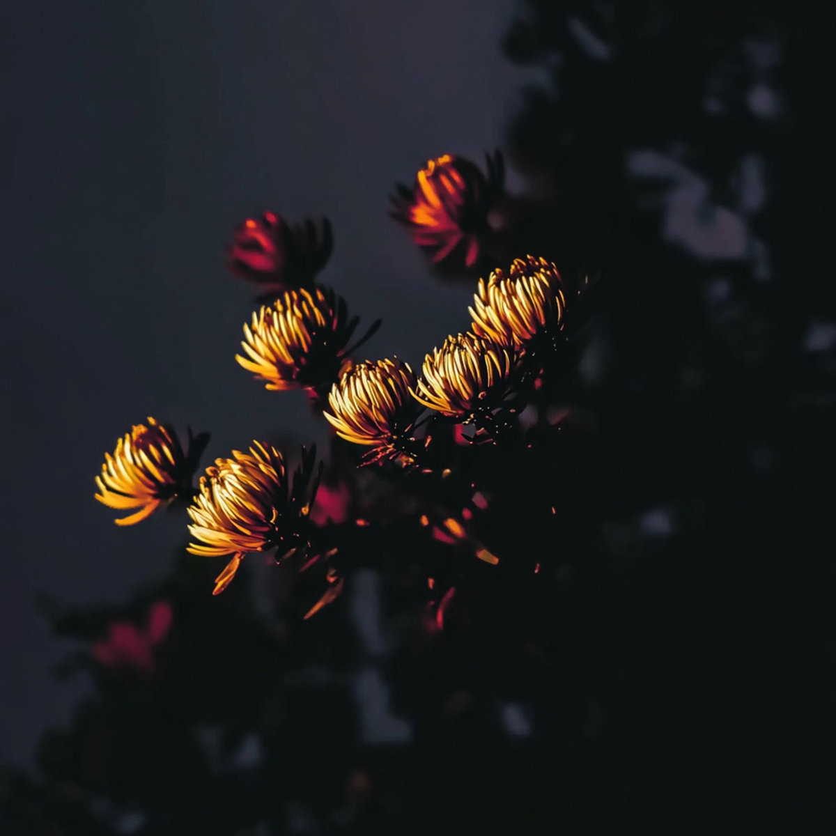 Industrial Noise by iclips______