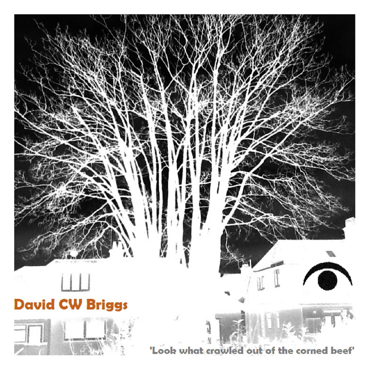 A Rotten Iron Lung David CW Briggs