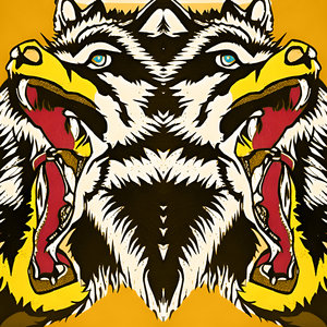 wolves + arrows cover