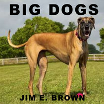 Big Dogs cover art