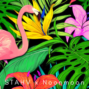 STAHV — STAHV x NoonmoonSTAHV and Noonmoon