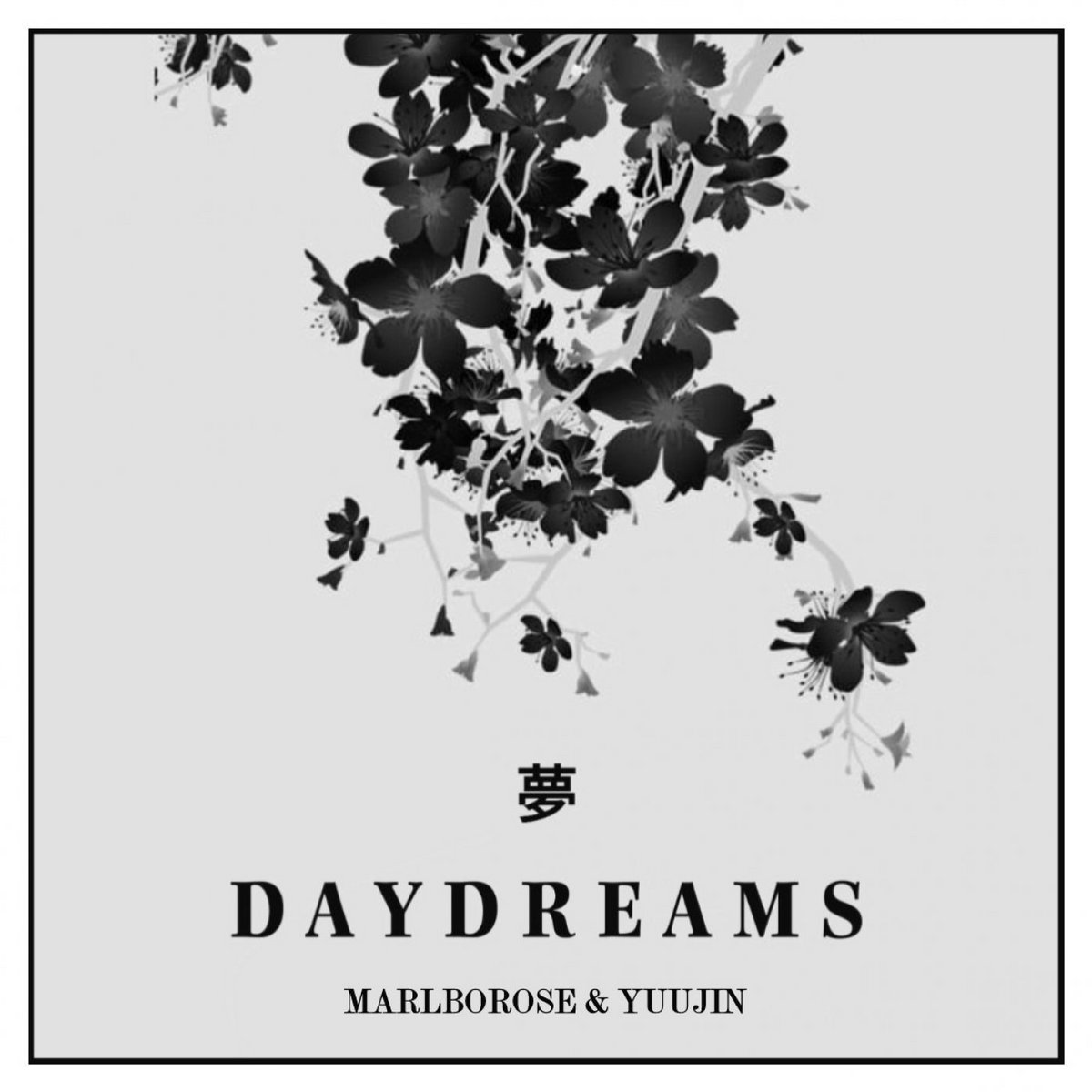 Daydreams Tape Marlborose daydreams-tape-marlborose
