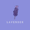 amelieeileen.bandcamp.com