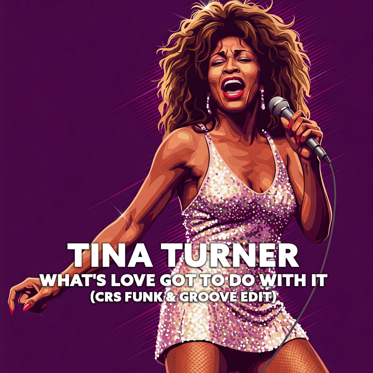 Tina Turner - What's Love Got To Do With It (CRs Funk & Groove