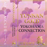 Yokohama Connection