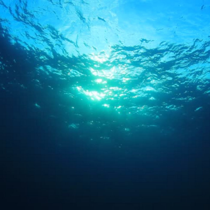 Floating Points SinApse Vinyl Digital