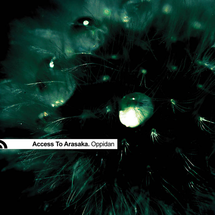 access to arasaka