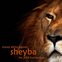 Trance Africa Express - The 2014 Live Remixes cover art