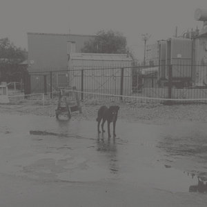 After its own death / Walking in a spiral towards the houseNivhek cover