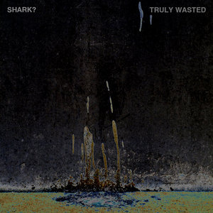 Truly Wasted EP cover