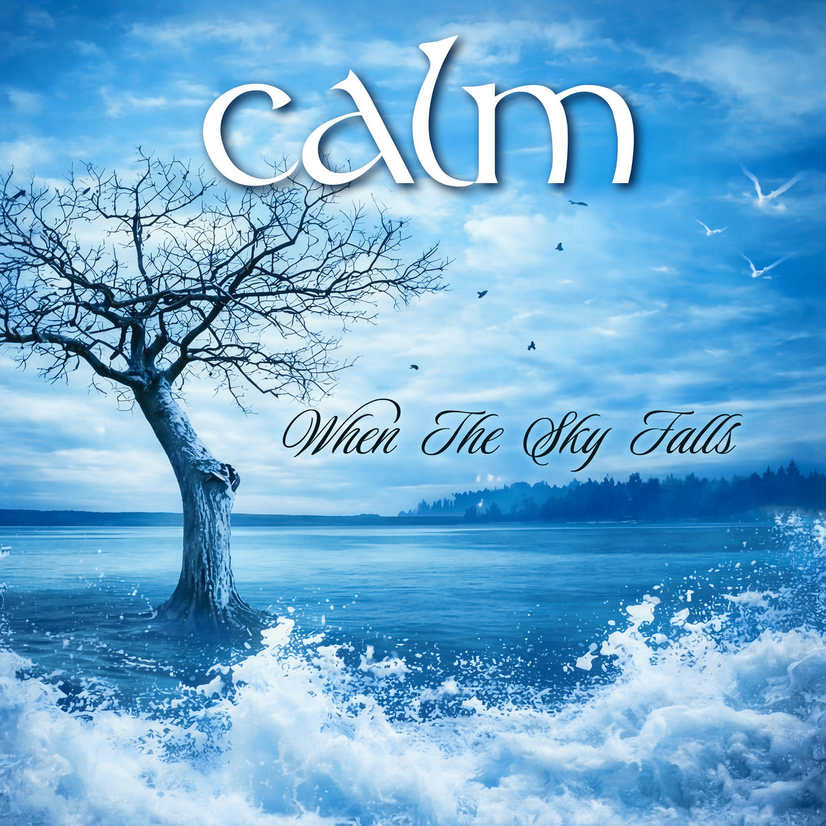 Envy | CALM | Tribunal + Divebomb Records