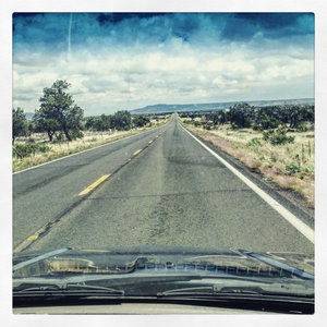 Cacti Car Ride cover