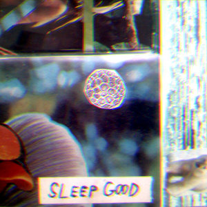 Strange Vacations cover