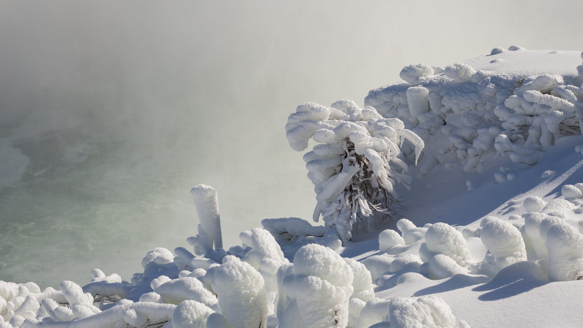 Psych S08e01 1080p Vs 4k Boallenexpaho Images, Photos, Reviews