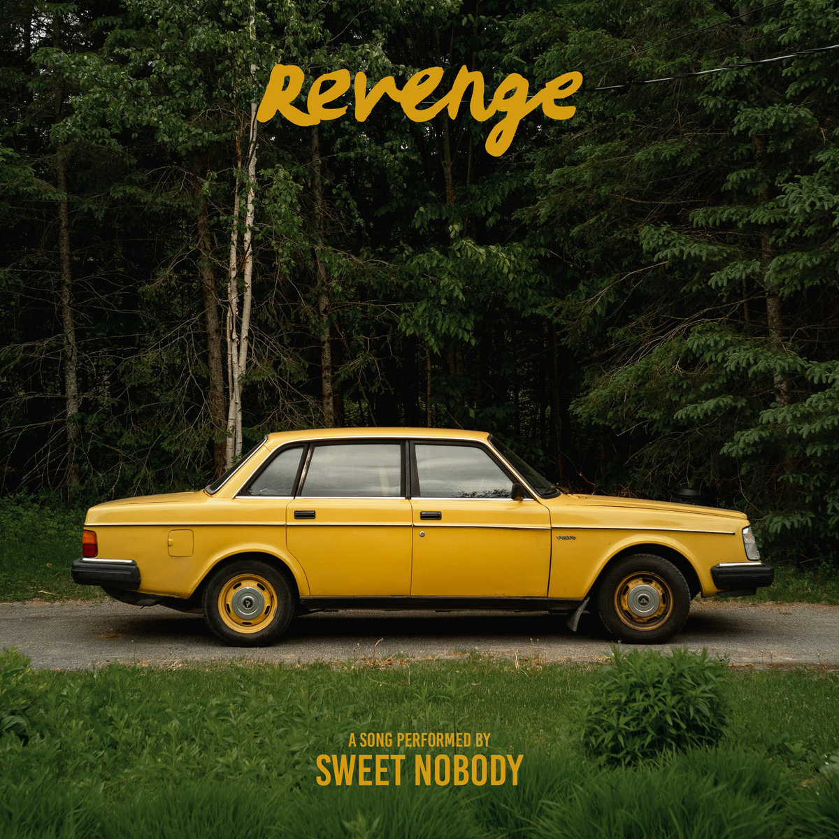 Revenge Sweet Nobody