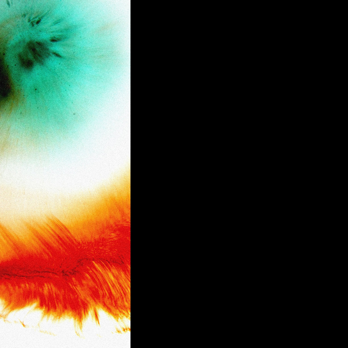 Louisville’s Time Zone: The Conventional Heartbeat of Riverside Kentucky