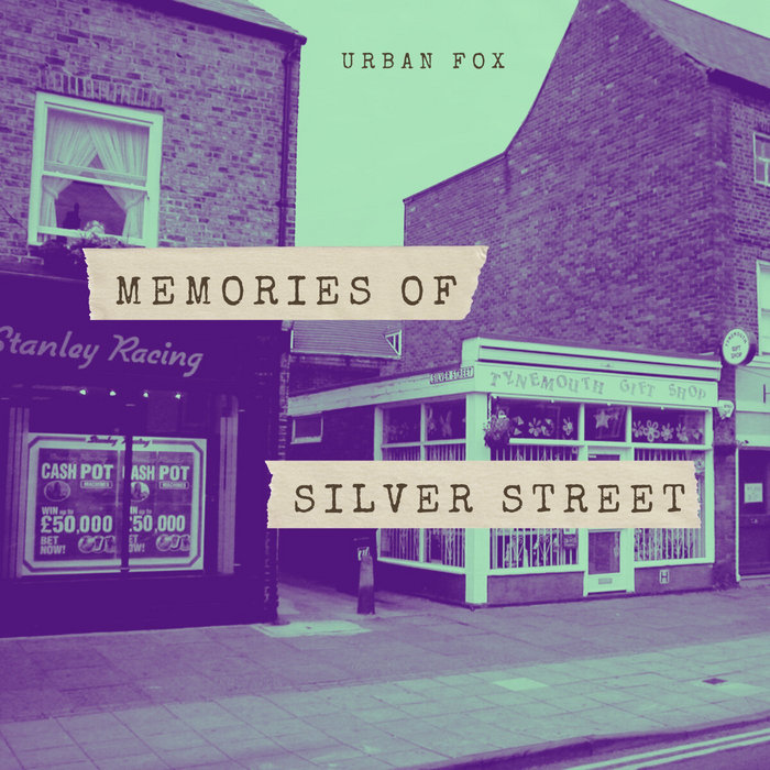 Memories of Silver Street Urban Fox