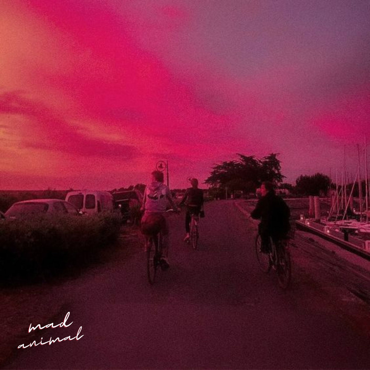 The Dream Tape (Vol.1) | Mad Animal. | NEON CATALOG