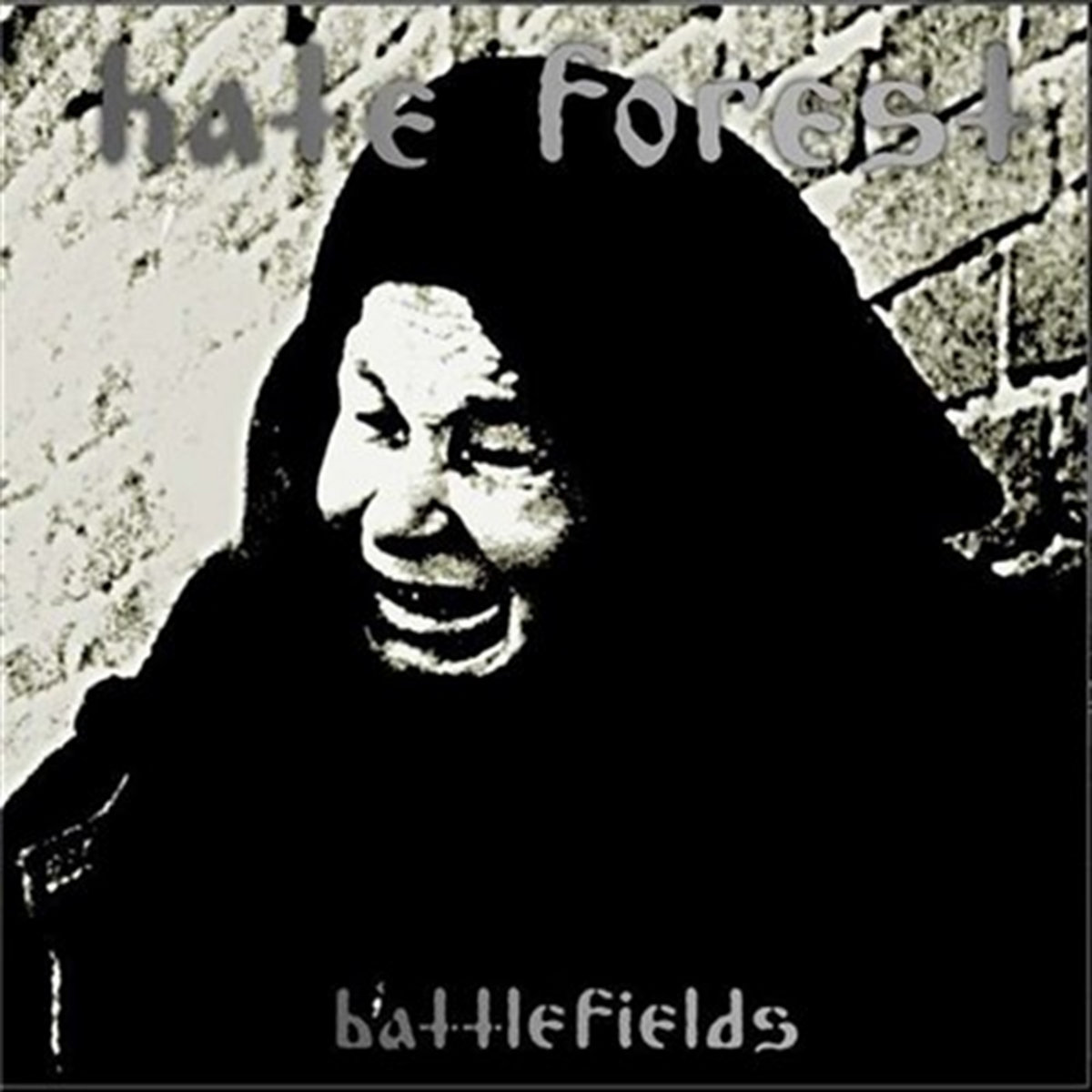 Battlefields by Hate Forest