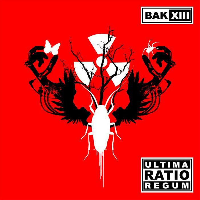 Ultima Ratio Regum BAK XIII
