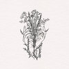 Gardens & Plantings
