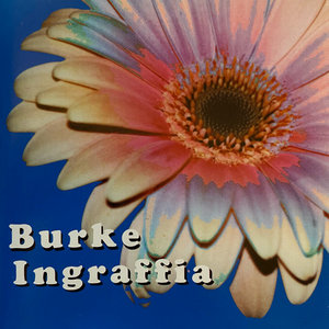 Burke Ingraffia cover