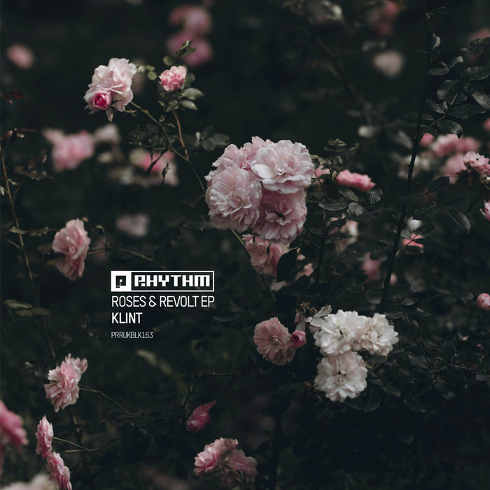 Pochette de Roses & Revolt EP par Klint