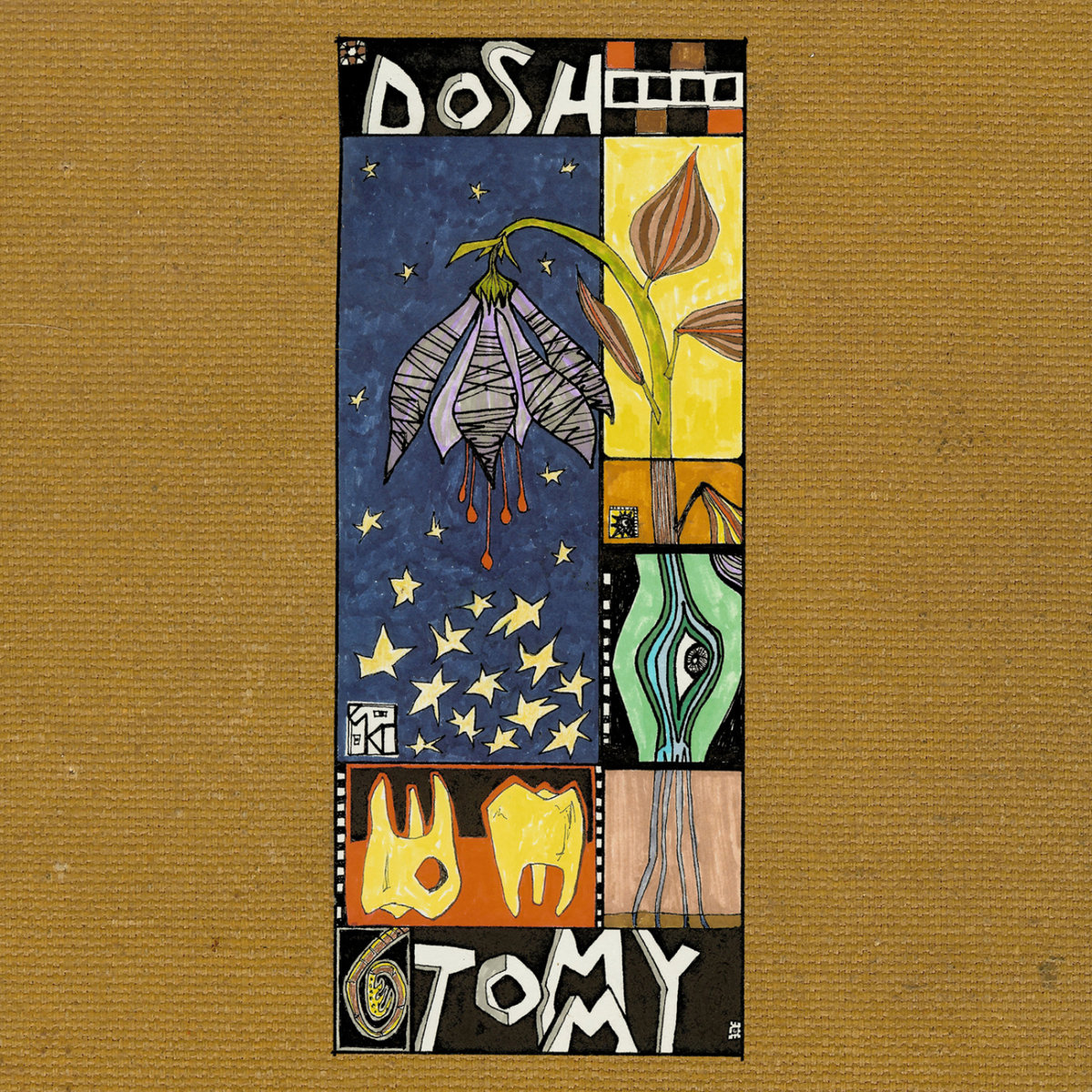 Tommy | Dosh