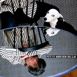Up's The New Down cover