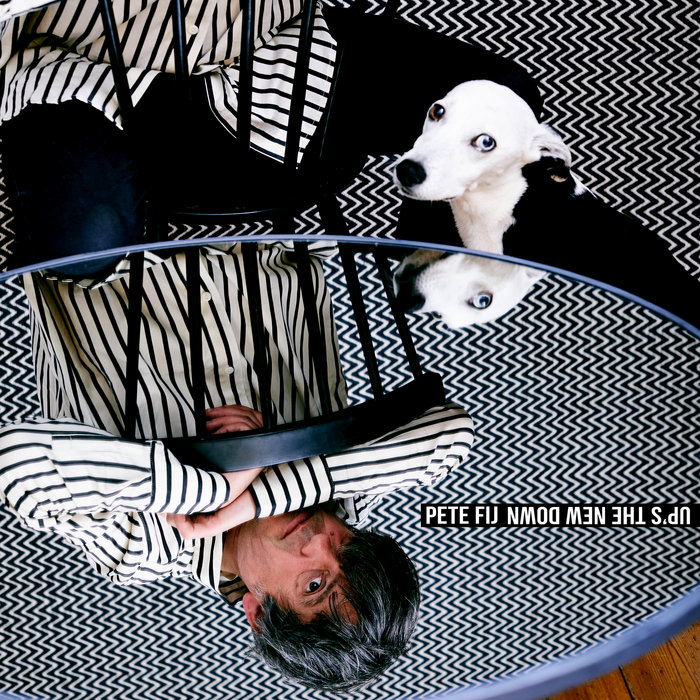 Pochette de Up's The New Down par Pete Fij