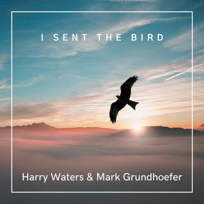 I Sent the Bird | Harry Waters & Mark Grundhoefer | Mark Grundhoefer