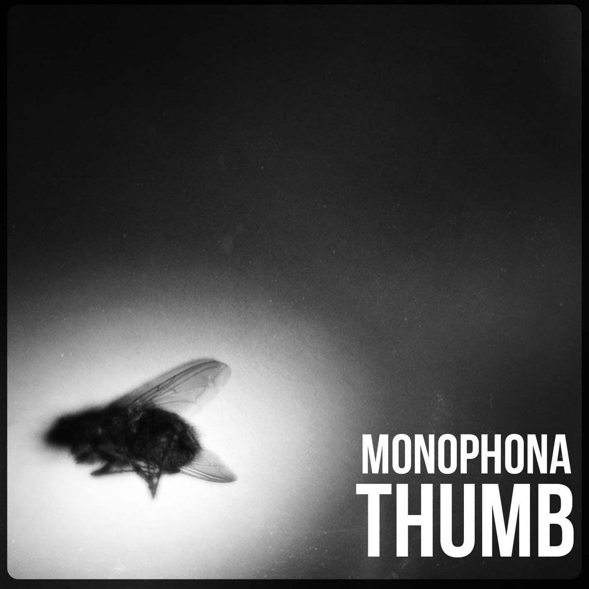 Risultati immagini per monophona thumb