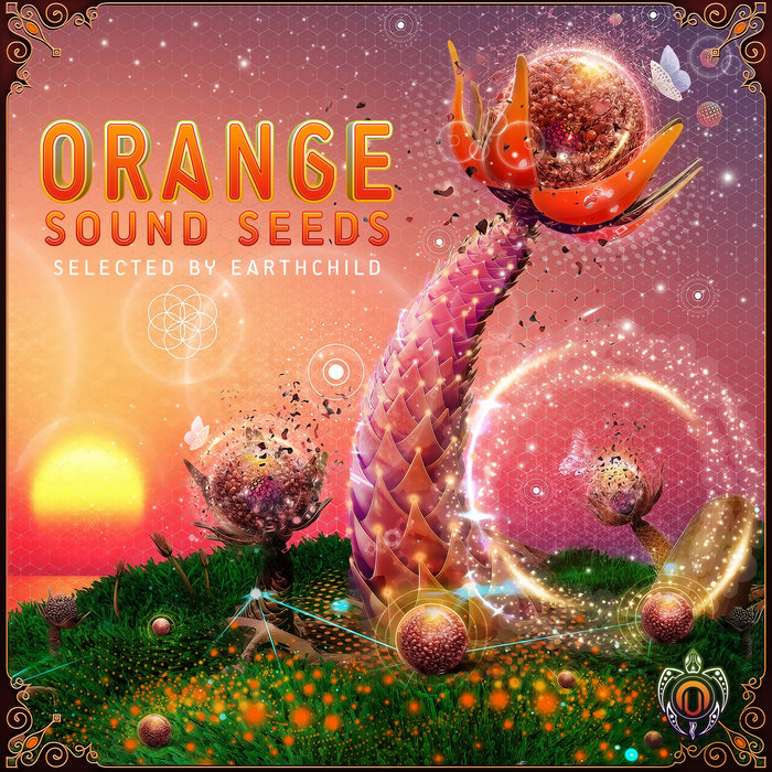 V.A Orange Sound Seeds Nutek Chill