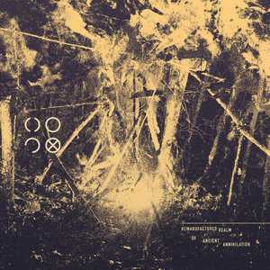 Remanufactured Realm of Ancient Annihilation cover