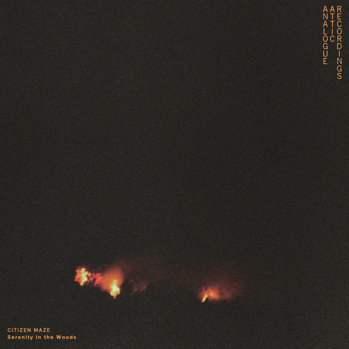 Artwork for Serenity in the Woods