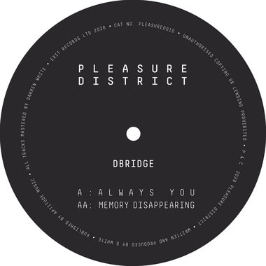 Pleasure District 010 - dBridge main photo