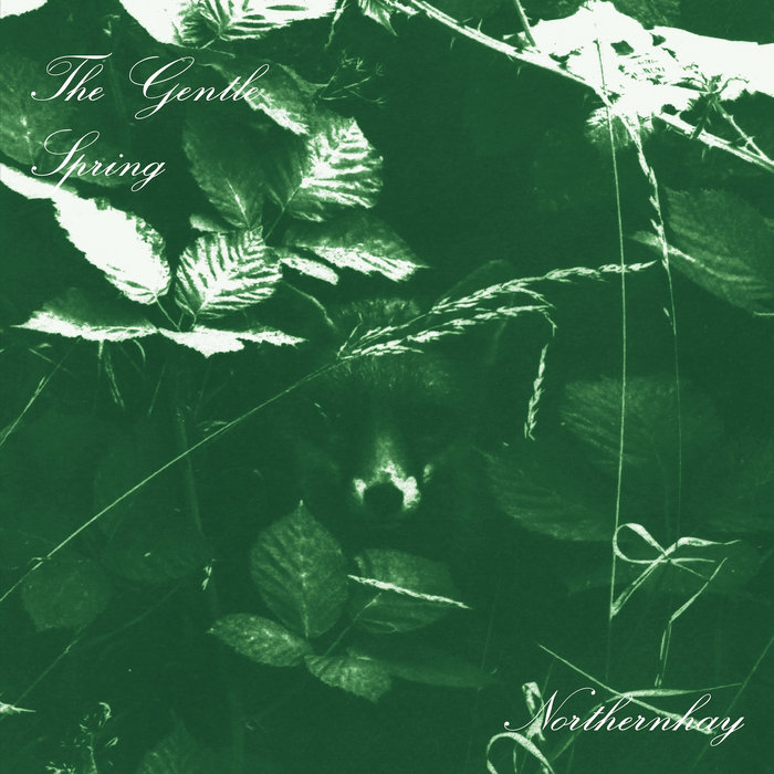 Pochette de Northernhay par The Gentle Spring